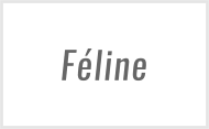 Féline