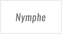 Nymphe
